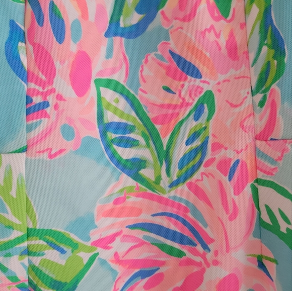 NWT Lilly Pulitzer Carmelisa shift dress, size 2 - Picture 9 of 11